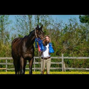 Meet your Posher, Norah